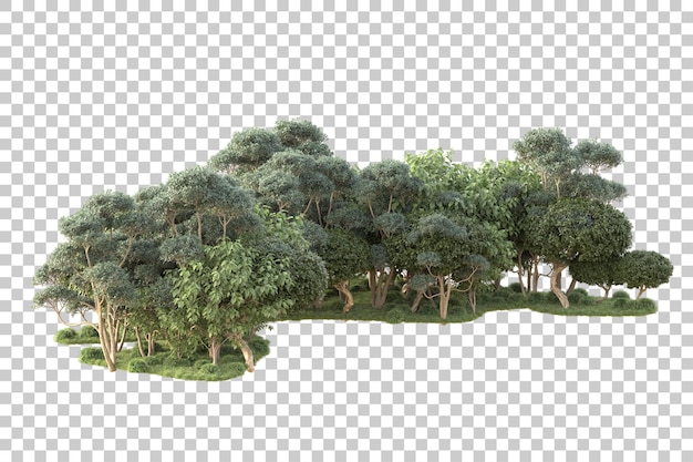 Isla de follaje aislada sobre fondo transparente ilustración de representación 3d