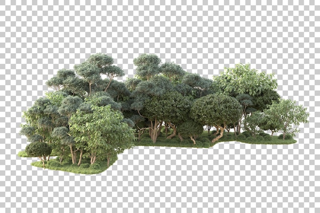 Isla de follaje aislada sobre fondo transparente ilustración de representación 3d