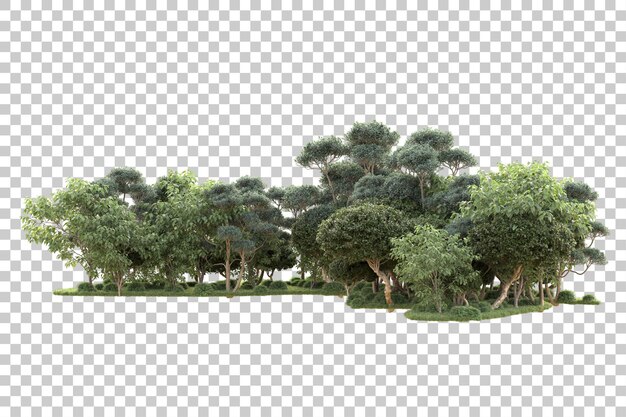 Isla de follaje aislada sobre fondo transparente ilustración de representación 3d