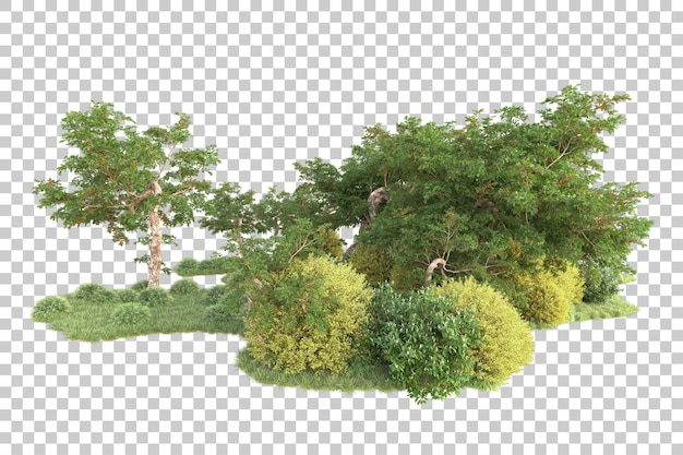 Isla de follaje aislada sobre fondo transparente ilustración de representación 3d