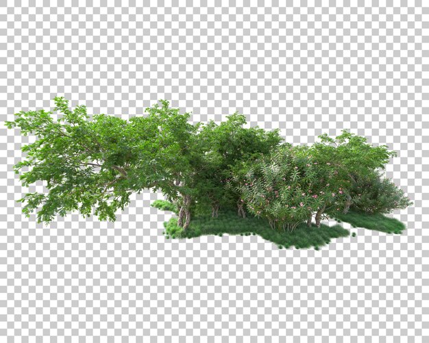 Isla de follaje aislada sobre fondo transparente ilustración de representación 3d