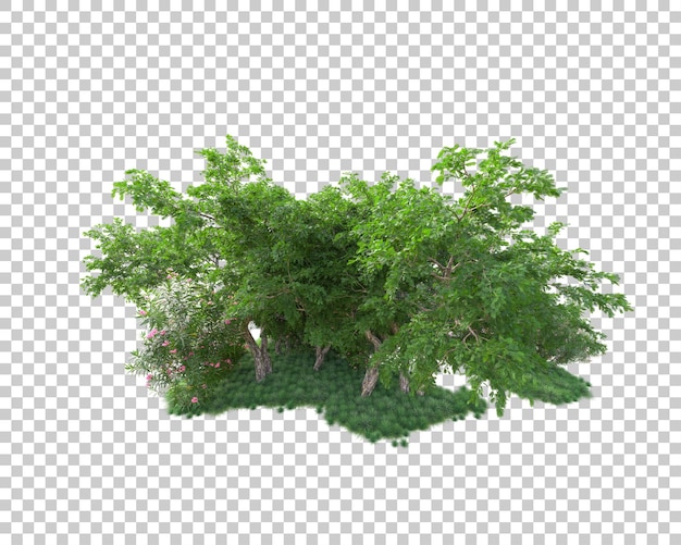 Isla de follaje aislada sobre fondo transparente ilustración de representación 3d