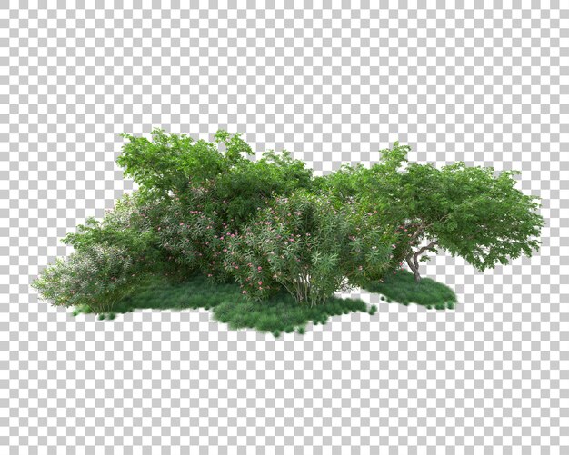 Isla de follaje aislada sobre fondo transparente ilustración de representación 3d