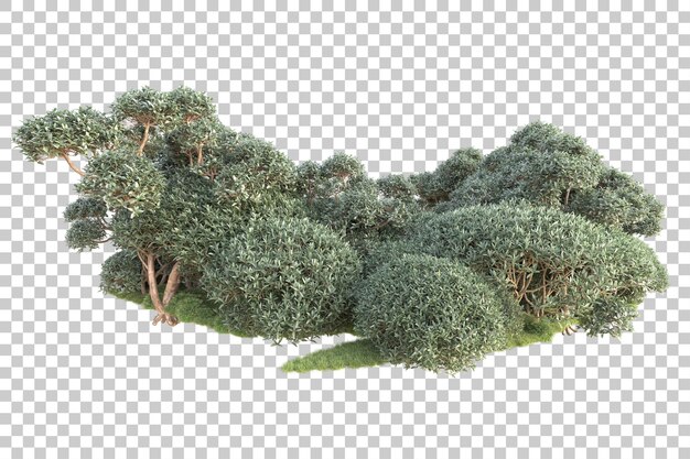 Isla de follaje aislada sobre fondo transparente ilustración de representación 3d