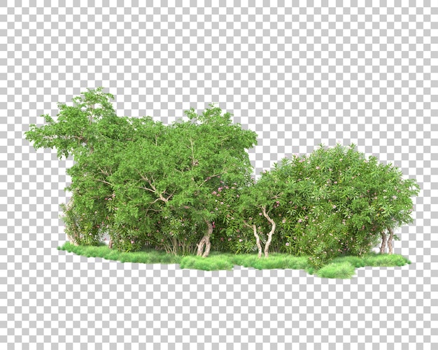 Isla de follaje aislada sobre fondo transparente ilustración de representación 3d