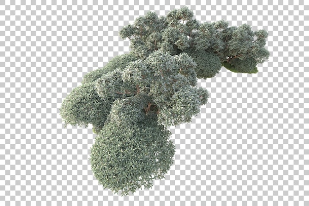 Isla de follaje aislada sobre fondo transparente ilustración de representación 3d