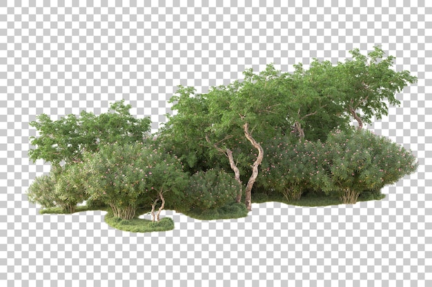 Isla de follaje aislada sobre fondo transparente ilustración de representación 3d