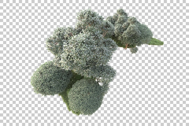 Isla de follaje aislada sobre fondo transparente ilustración de representación 3d