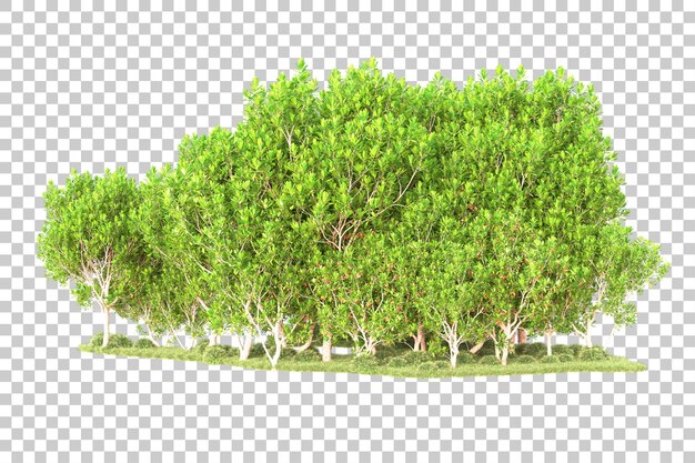 Isla de follaje aislada sobre fondo transparente ilustración de representación 3d