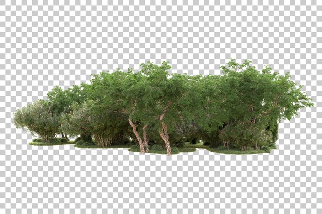 Isla de follaje aislada sobre fondo transparente ilustración de representación 3d
