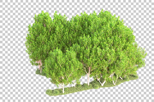 Isla de follaje aislada sobre fondo transparente ilustración de representación 3d