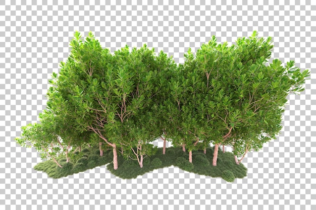 Isla de follaje aislada sobre fondo transparente ilustración de representación 3d