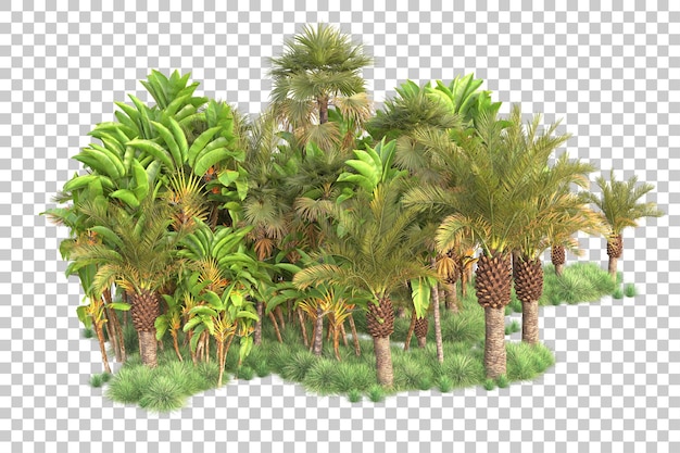 Isla de follaje aislada sobre fondo transparente ilustración de representación 3d
