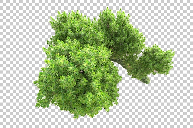 Isla de follaje aislada sobre fondo transparente ilustración de representación 3d
