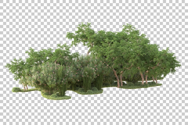 Isla de follaje aislada sobre fondo transparente ilustración de representación 3d