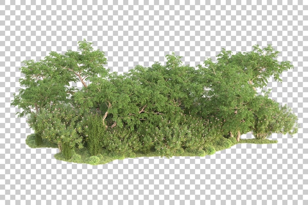 Isla de follaje aislada sobre fondo transparente ilustración de representación 3d
