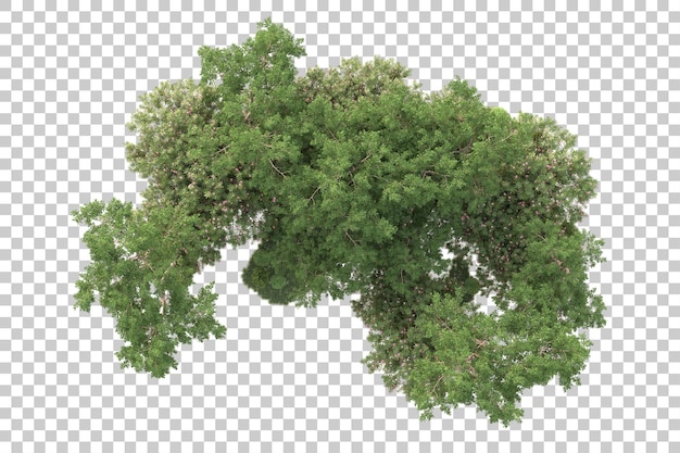 Isla de follaje aislada sobre fondo transparente ilustración de representación 3d