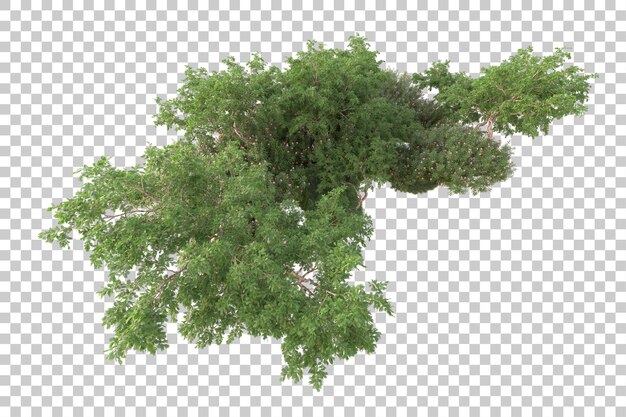 Isla de follaje aislada sobre fondo transparente ilustración de representación 3d