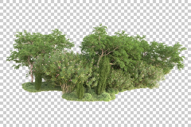 Isla de follaje aislada sobre fondo transparente ilustración de representación 3d