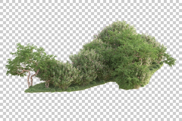 Isla de follaje aislada sobre fondo transparente ilustración de representación 3d