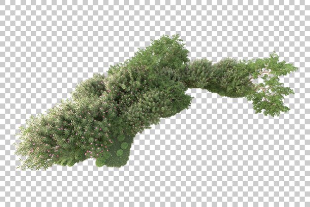 Isla de follaje aislada sobre fondo transparente ilustración de representación 3d