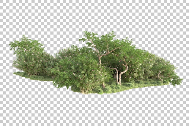 Isla de follaje aislada sobre fondo transparente ilustración de representación 3d