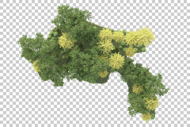 Isla de follaje aislada sobre fondo transparente ilustración de representación 3d