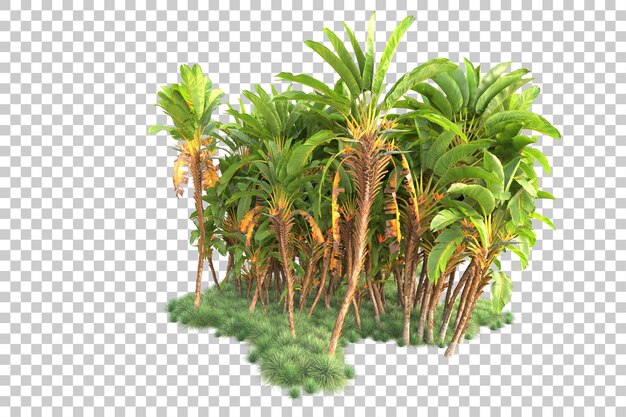 Isla de follaje aislada sobre fondo transparente ilustración de representación 3d