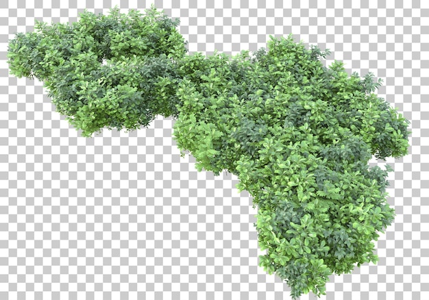 Isla de hierba con flores sobre fondo transparente ilustración de renderizado 3d