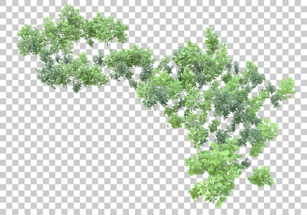 Isla de hierba con flores sobre fondo transparente Ilustración de renderizado 3d