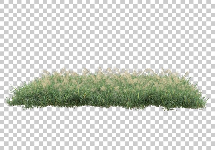 PSD isla de hierba en la ilustración de renderizado 3d de fondo transparente