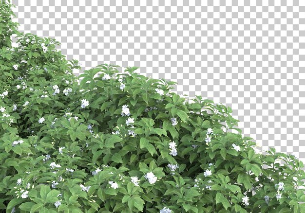 Isla de hierba en la ilustración de renderizado 3d de fondo transparente