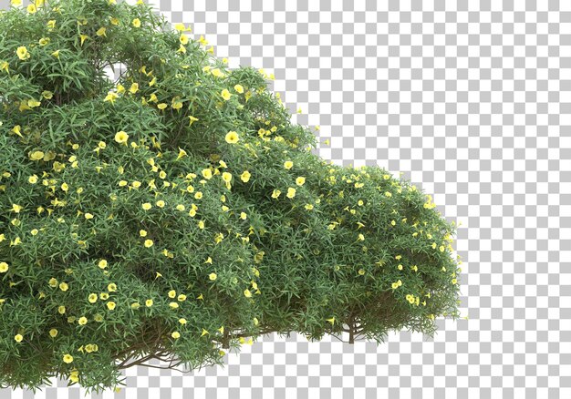 Isla de plantas con flores sobre fondo transparente Ilustración de renderizado 3d
