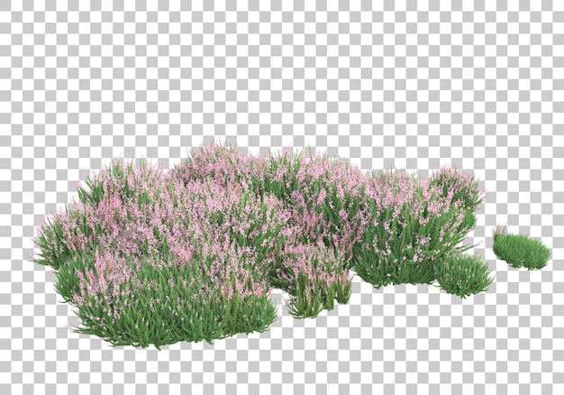 Isla de plantas con flores sobre fondo transparente ilustración de renderizado 3d