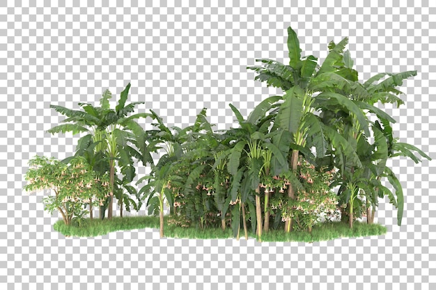 Isla tropical aislada sobre un fondo transparente Ilustración de renderización en 3D