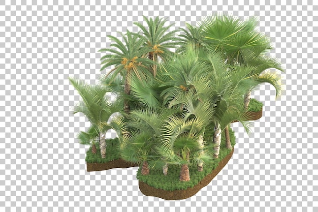 Isla tropical aislada sobre un fondo transparente Ilustración de renderización en 3D