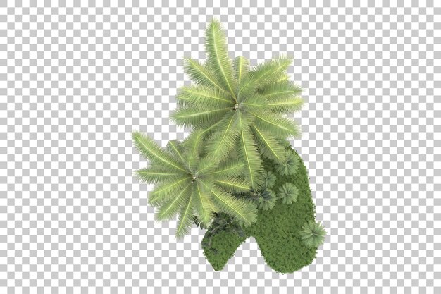 Isla tropical aislada sobre un fondo transparente Ilustración de renderización en 3D