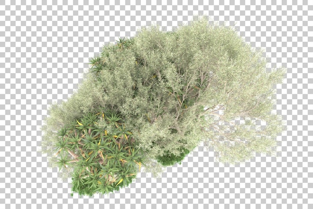 Isla tropical aislada sobre fondo transparente Ilustración de renderizado 3d