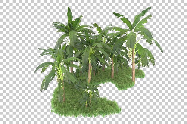 Isla tropical aislada sobre fondo transparente Ilustración de renderizado 3d
