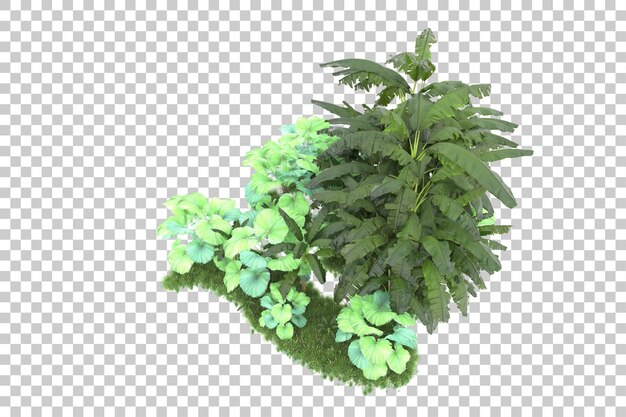 Isla tropical aislada sobre fondo transparente Ilustración de renderizado 3d