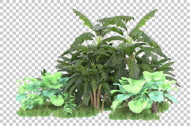 Isla tropical aislada sobre fondo transparente Ilustración de renderizado 3d