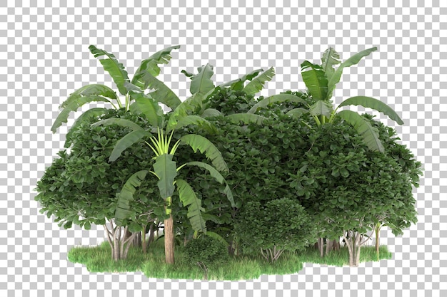 Isla tropical aislada sobre fondo transparente Ilustración de renderizado 3d