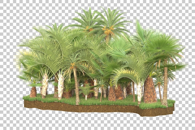 Isla tropical aislada sobre fondo transparente Ilustración de renderizado 3d