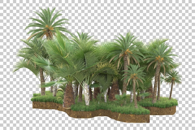 Isla tropical aislada sobre fondo transparente Ilustración de renderizado 3d