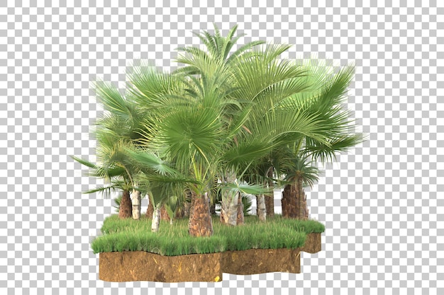 Isla tropical aislada sobre fondo transparente Ilustración de renderizado 3d