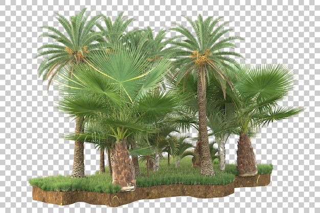Isla tropical aislada sobre fondo transparente Ilustración de renderizado 3d