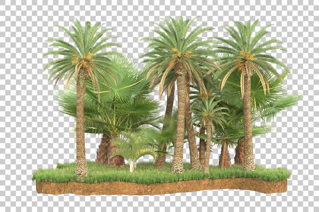 Isla tropical aislada sobre fondo transparente Ilustración de renderizado 3d