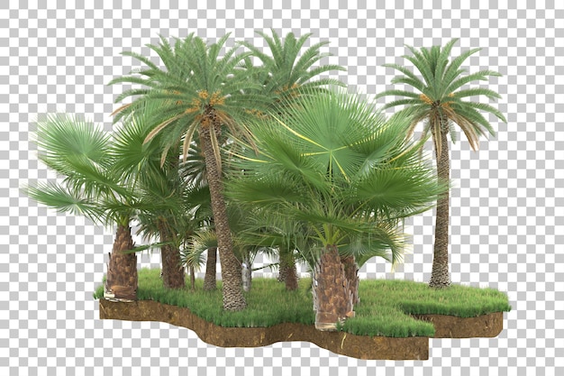 Isla tropical aislada sobre fondo transparente Ilustración de renderizado 3d