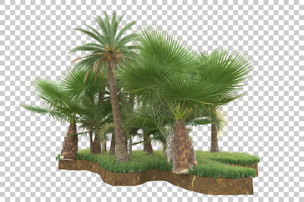 Isla tropical aislada sobre fondo transparente Ilustración de renderizado 3d