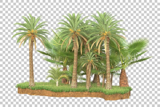 Isla tropical aislada sobre fondo transparente Ilustración de renderizado 3d